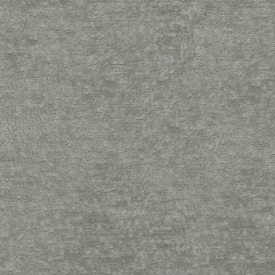 P K Lifestyles Teddy Fog