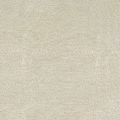 P K Lifestyles Teddy Cream