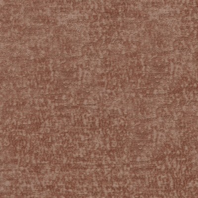 P K Lifestyles Teddy Blush