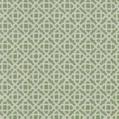 P K Lifestyles RETRACE            JUNIPER