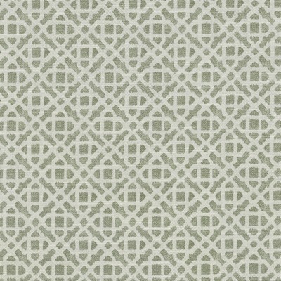 P K Lifestyles RETRACE            CLOUD