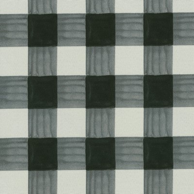 P K Lifestyles OD Painterly Plaid Ebony