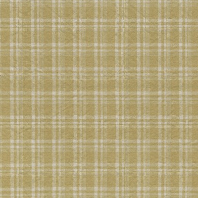 P K Lifestyles CLYDE              GOLDEN