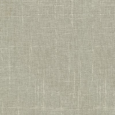 P K Lifestyles PERF MIXOLOGY    STEAM