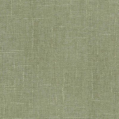 P K Lifestyles PERF MIXOLOGY    CELERY