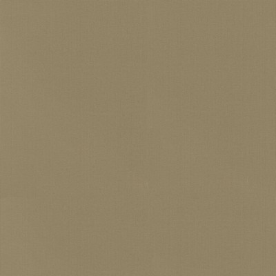 P K Lifestyles Vernon SAFARI