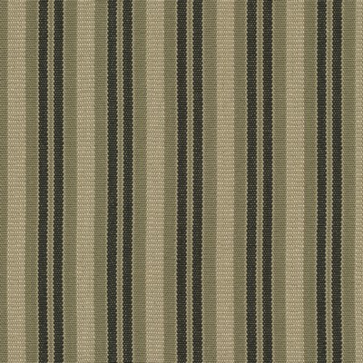 P K Lifestyles Silverton Stripe Tumbleweed