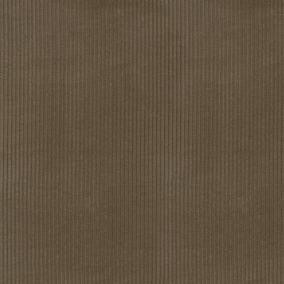 P K Lifestyles Wales Porcini