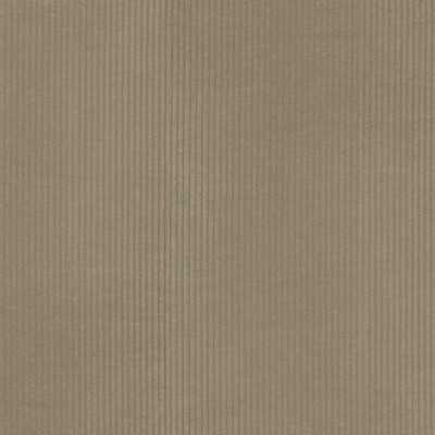 P K Lifestyles Wales Fawn