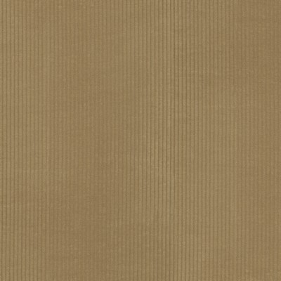 P K Lifestyles Wales Camel