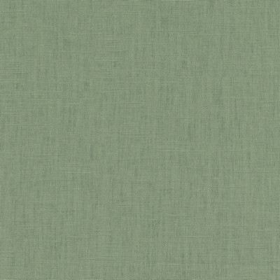 P K Lifestyles Chester Aloe