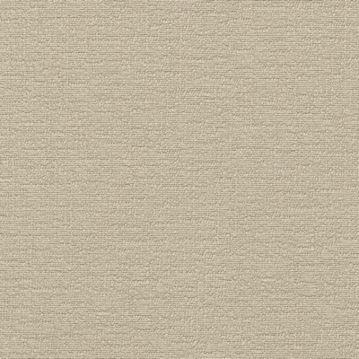 P K Lifestyles Cirrus Oat