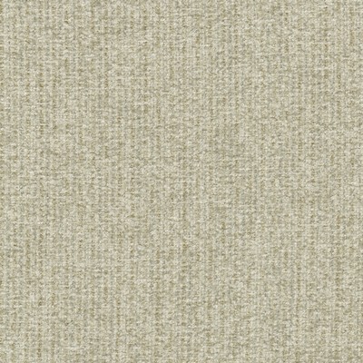 P K Lifestyles Ventura Papyrus