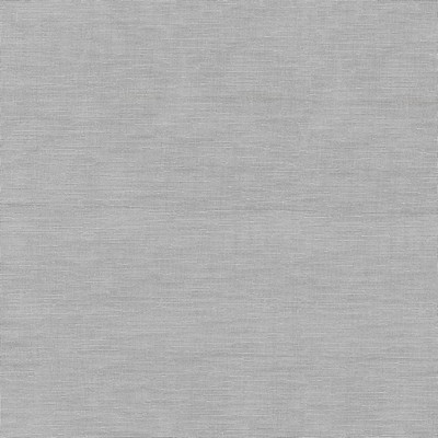 P K Lifestyles Iridescence Sheer Silver