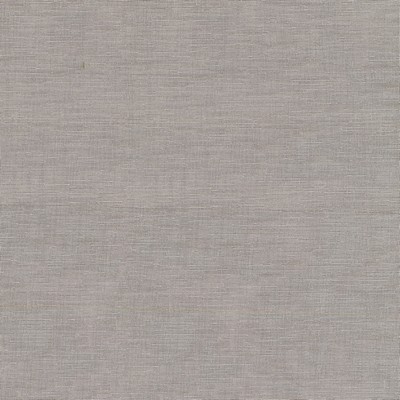 P K Lifestyles Iridescence Sheer Flax