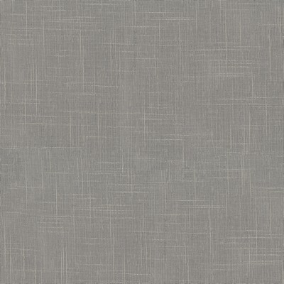 P K Lifestyles Ambient Sheer Smoke