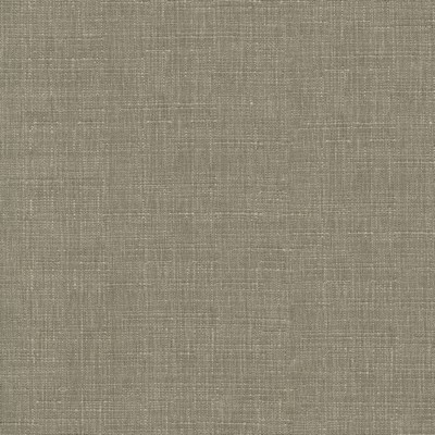 P K Lifestyles Avalon Mushroom