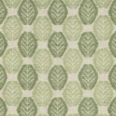 P K Lifestyles Fringe Leaf Celadon