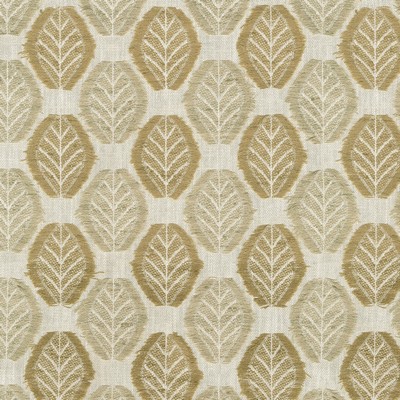 P K Lifestyles Fringe Leaf Wheat