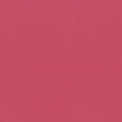 P K Lifestyles OD Radiance Hot Pink