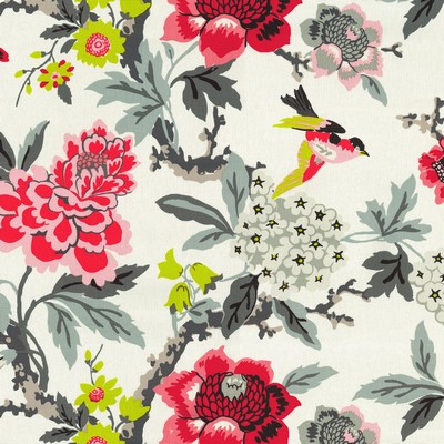 P K Lifestyles CANDID MOMENT EBONY