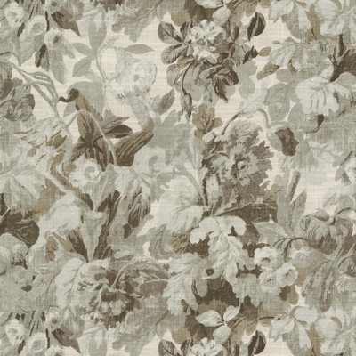 P K Lifestyles ELOISE            CLOUD