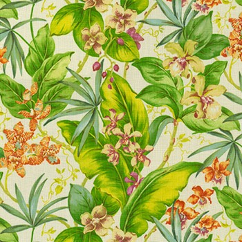 P K Lifestyles TBO PARADISE PT  SWA FRESCO