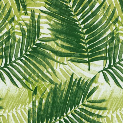 P K Lifestyles TBO Escape Route Jade