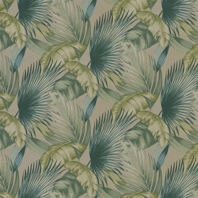 P K Lifestyles TBO San Juan Aloe