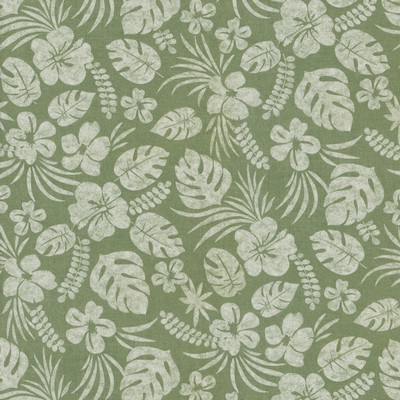 P K Lifestyles TBO Isle be Back Aloe