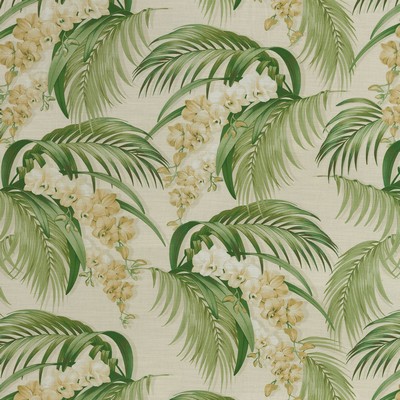 P K Lifestyles Orchid Haven Lemongrass