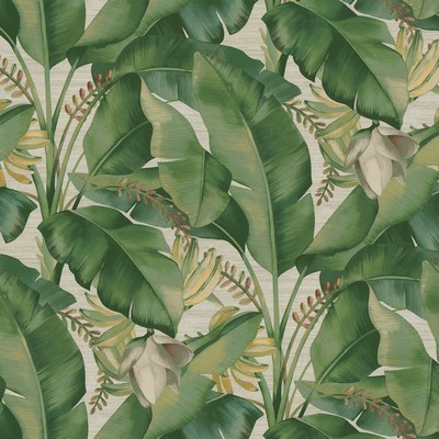 P K Lifestyles AMONG FRONDS     ALOE