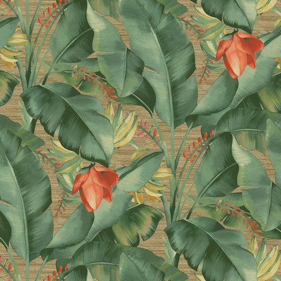 P K Lifestyles AMONG FRONDS     RATTAN