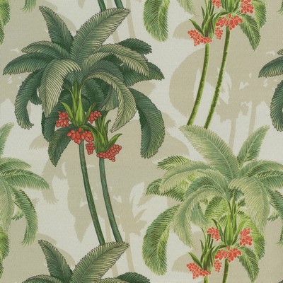 P K Lifestyles TBO SHADOW PALMS ALOE