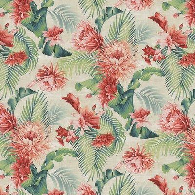 P K Lifestyles Harbor Island Aloe