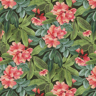 P K Lifestyles Darwin Flora Noir