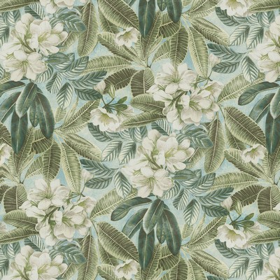 P K Lifestyles Darwin Flora Seamist