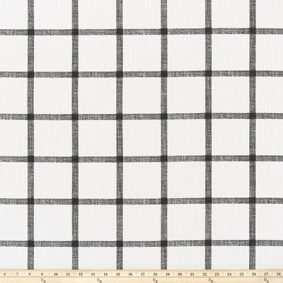 Premier Prints Aaron INK