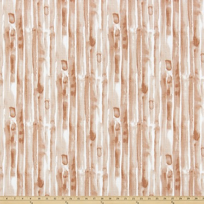 Premier Prints Amelie Clay