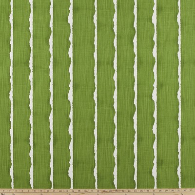 Premier Prints Canal  BONSAI