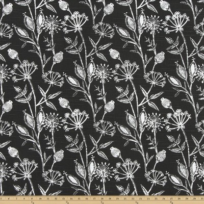 Premier Prints DAMAN RAVEN