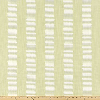 Premier Prints DASH ENDIVE