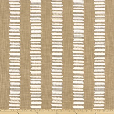 Premier Prints DASH NOMAD