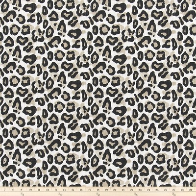 Premier Prints Dayo GOBI