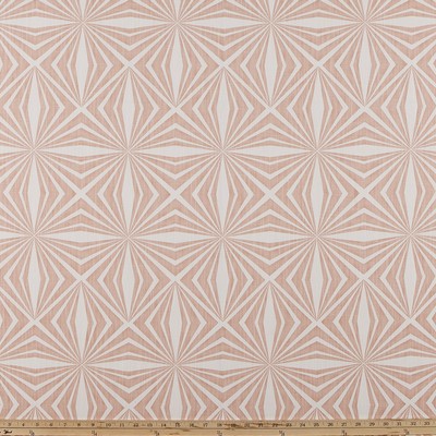 Premier Prints Francisco  CAMEO