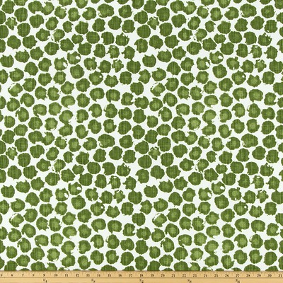 Premier Prints Freedom Kale