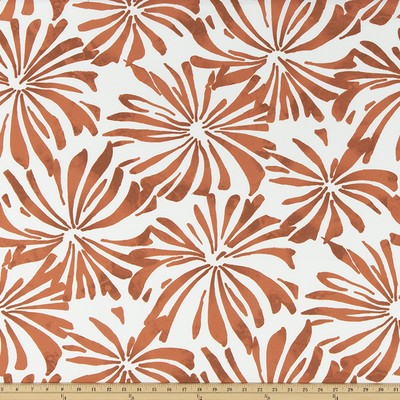 Premier Prints Outdoor Aria Fiesta