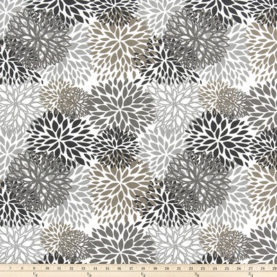 Premier Prints Outdoor Blooms MATTE