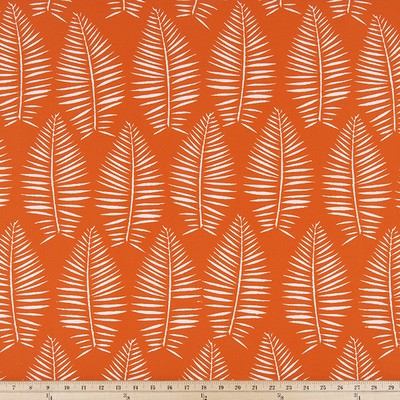 Premier Prints Breeze MARMALADE