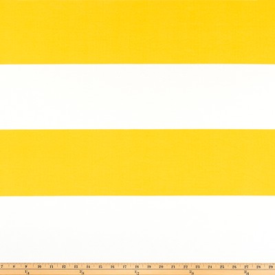 Premier Prints ODT Cabana Pineapple